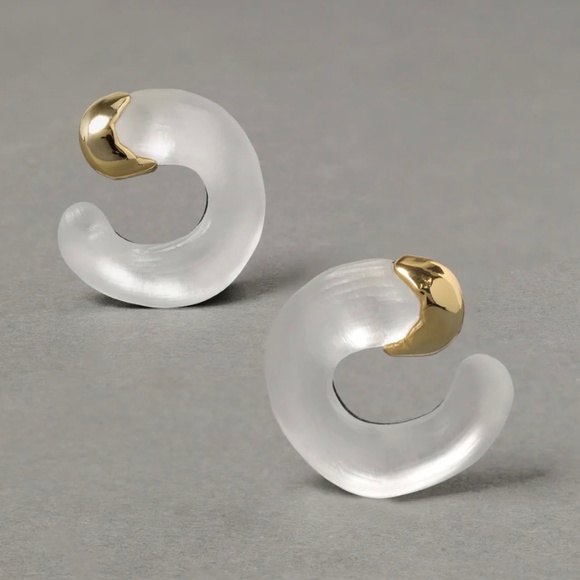 Alexis Bittar Jewelry - ALEXIS BITTAR Silver Lucite Small Molten Front Facing Hoop Earrings